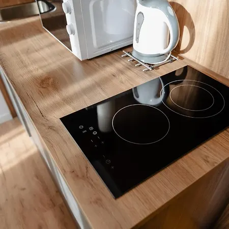 아파트 Elegant Very Berry In Center By Renters 포즈난