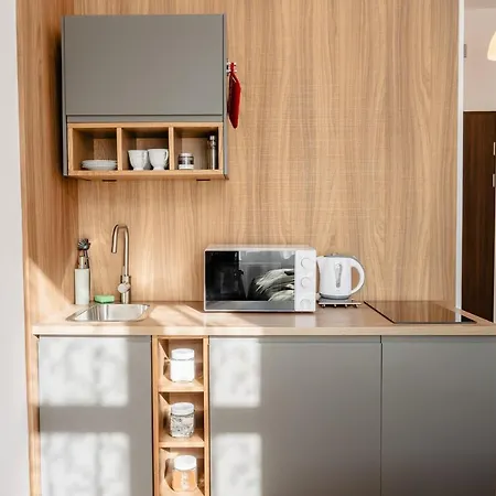 아파트 Elegant Very Berry In Center By Renters 포즈난