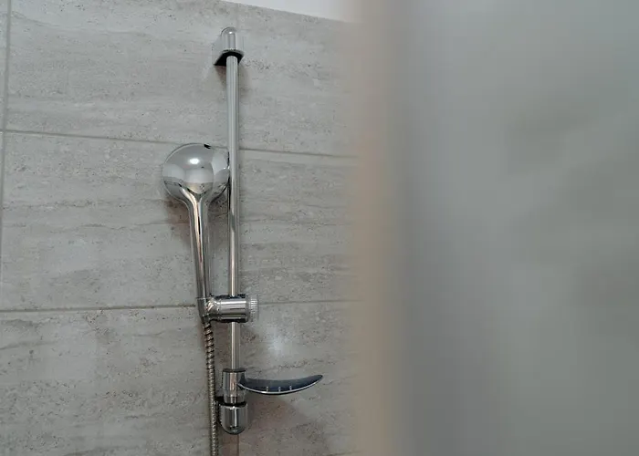 Elegant Very Berry In Center By Renters Apartment Posen