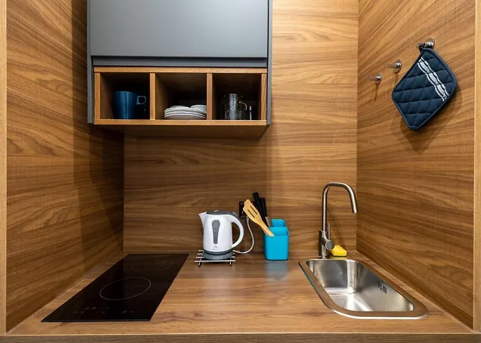 Elegant Very Berry In Center By Renters Apartment Posen