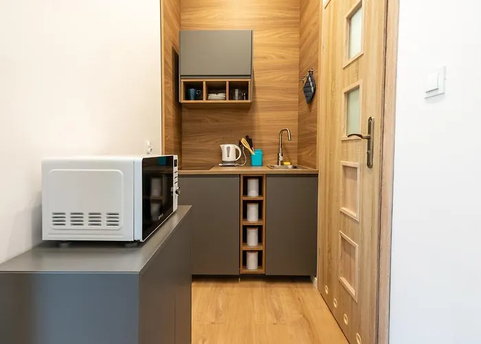 Apartament Elegant Very Berry In Center By Renters *