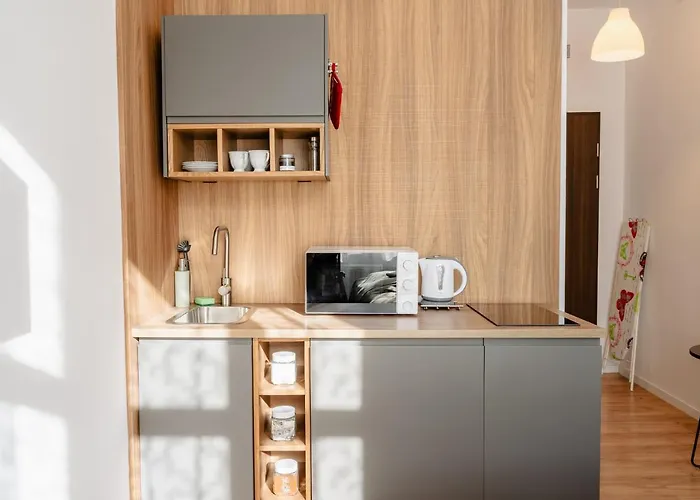 Apartment Elegant Very Berry In Center By Renters Posen