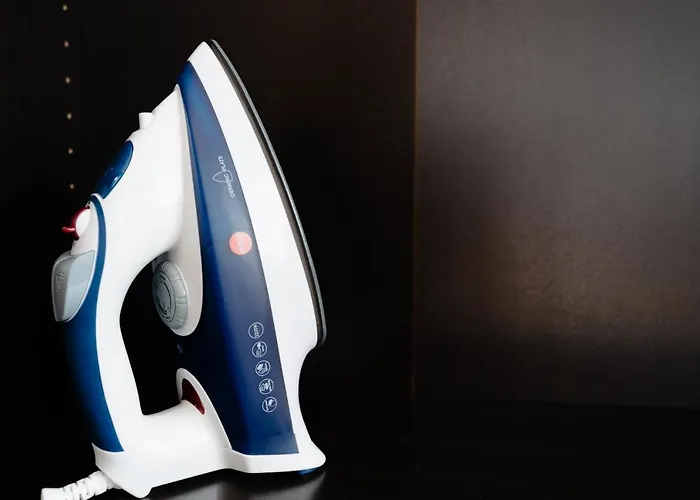 Elegant Very Berry In Center By Renters 公寓